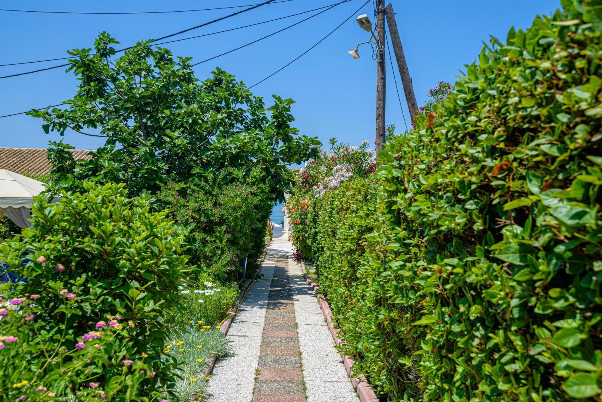 Elena's Seaside Apartments&Studios Agios Gordios  Exterior foto
